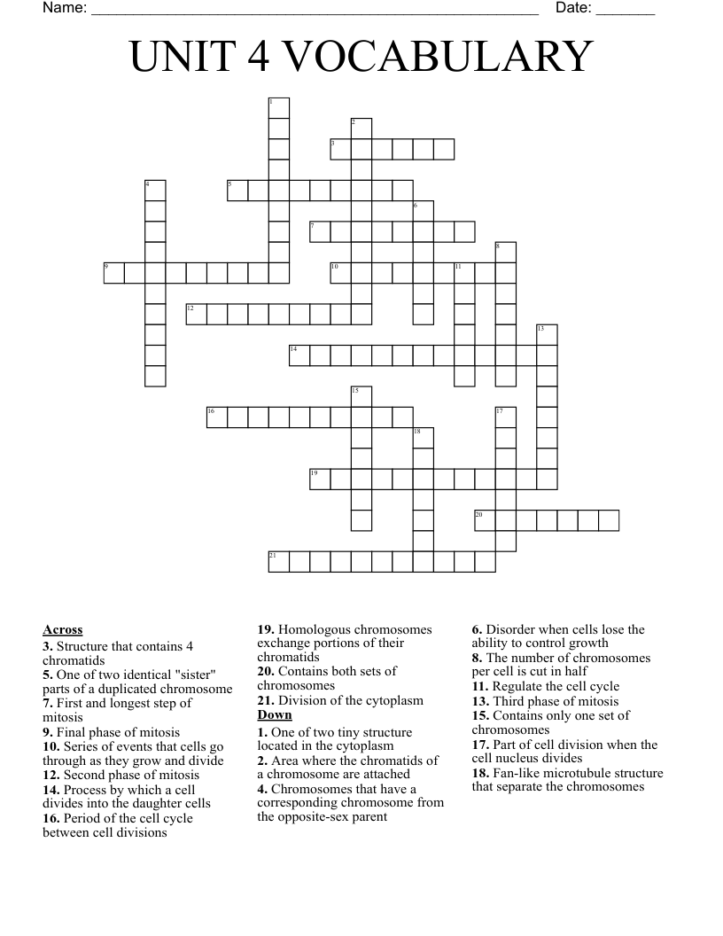 UNIT 4 VOCABULARY Crossword