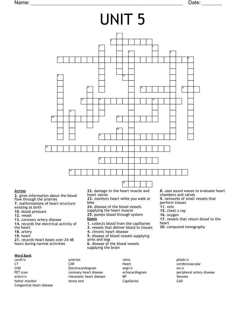 UNIT 5 Crossword
