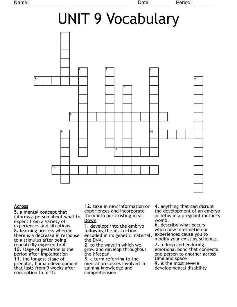 UNIT 9 Vocabulary  Crossword