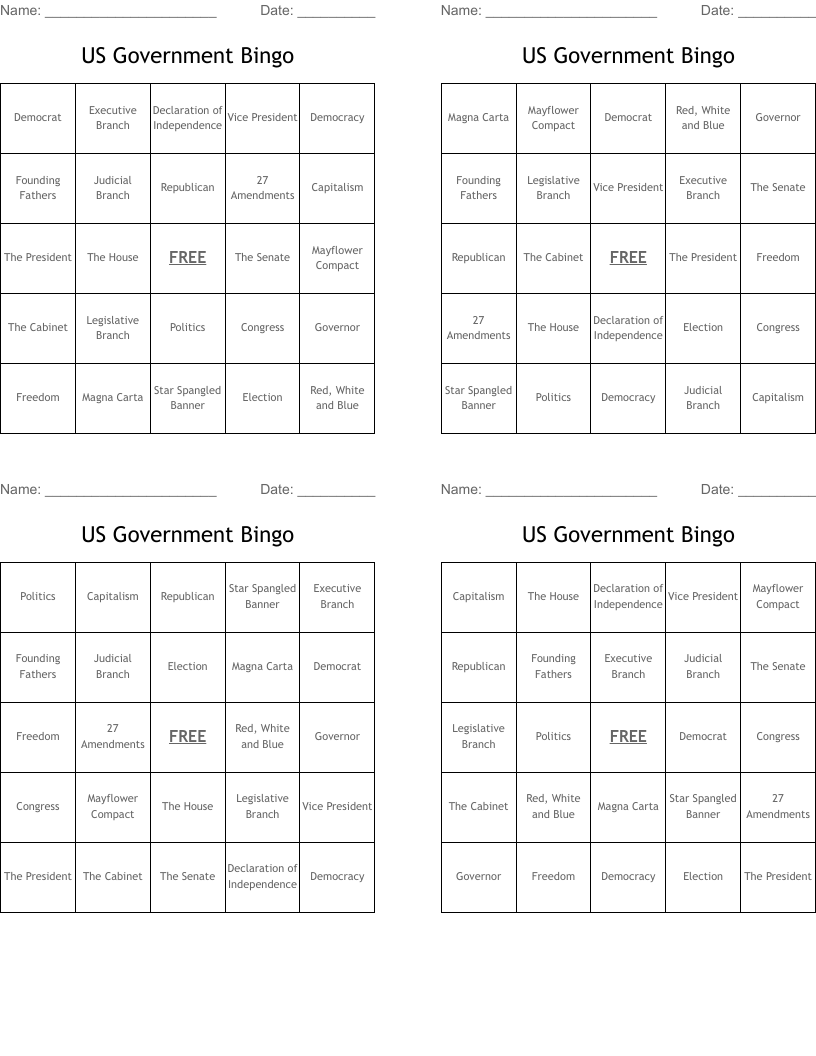 US Government Bingo 