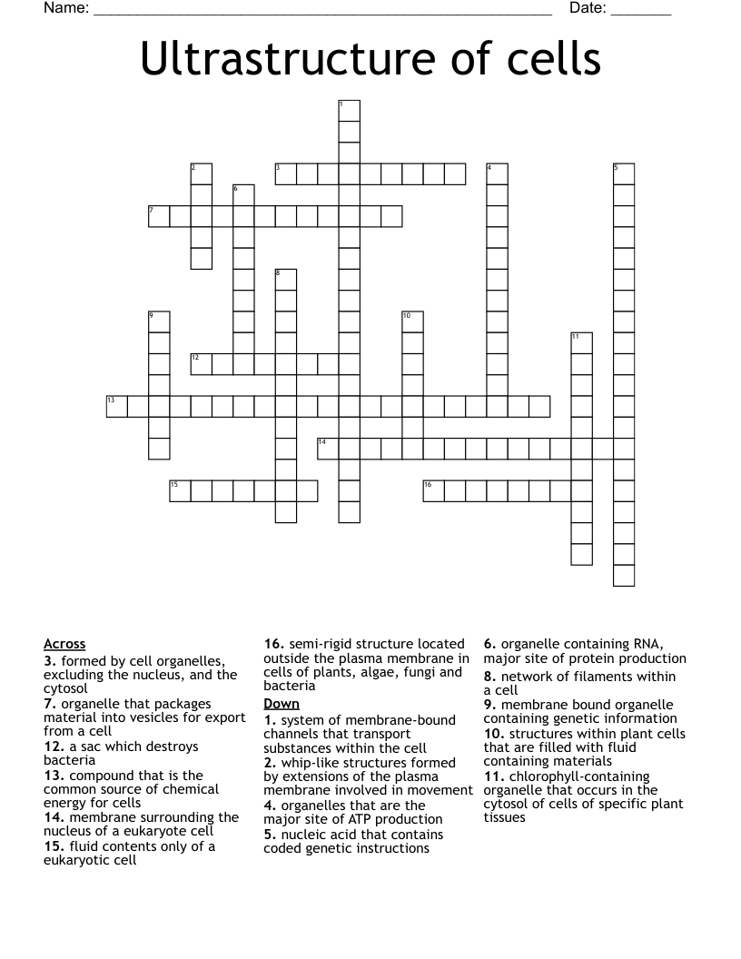 Ultrastructure of cells Crossword