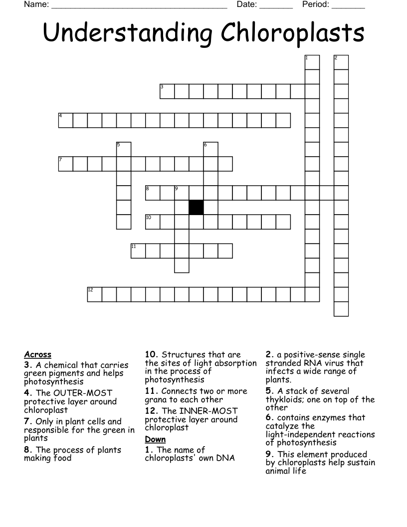 Understanding Chloroplasts Crossword