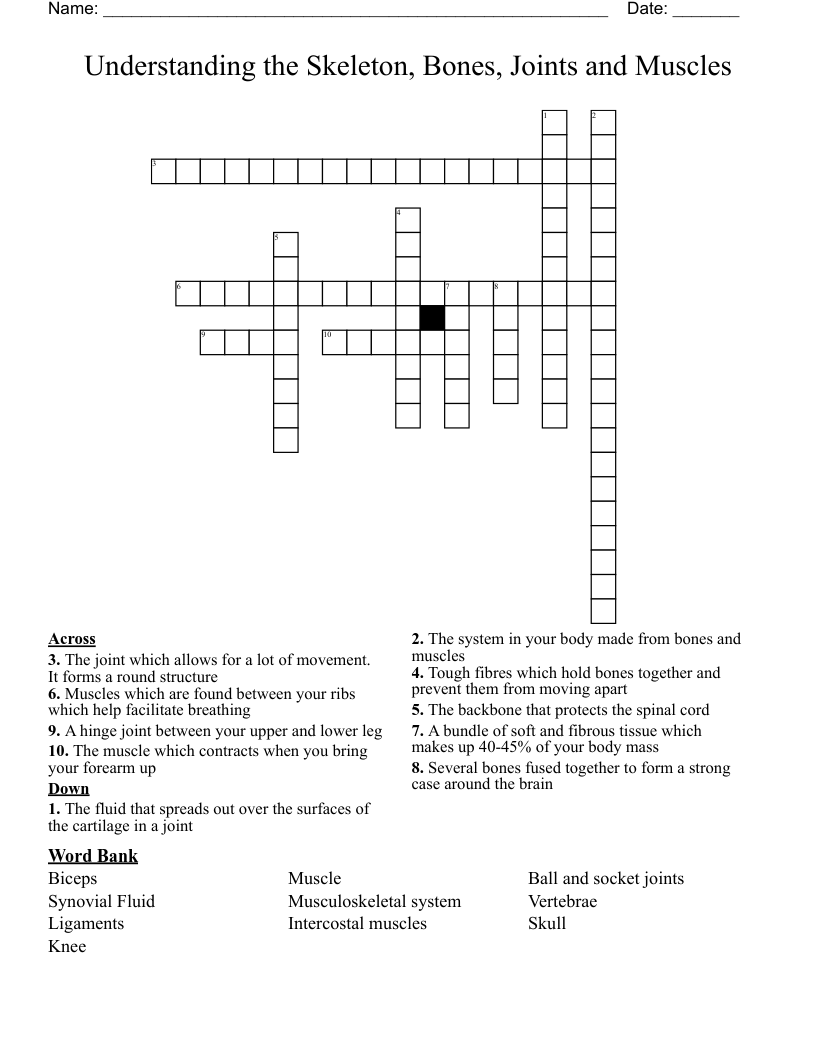 Understanding the Skeleton, Bones, Joints and Muscles Crossword