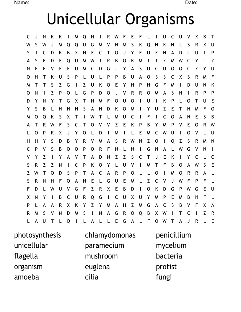 Unicellular Organisms Word Search