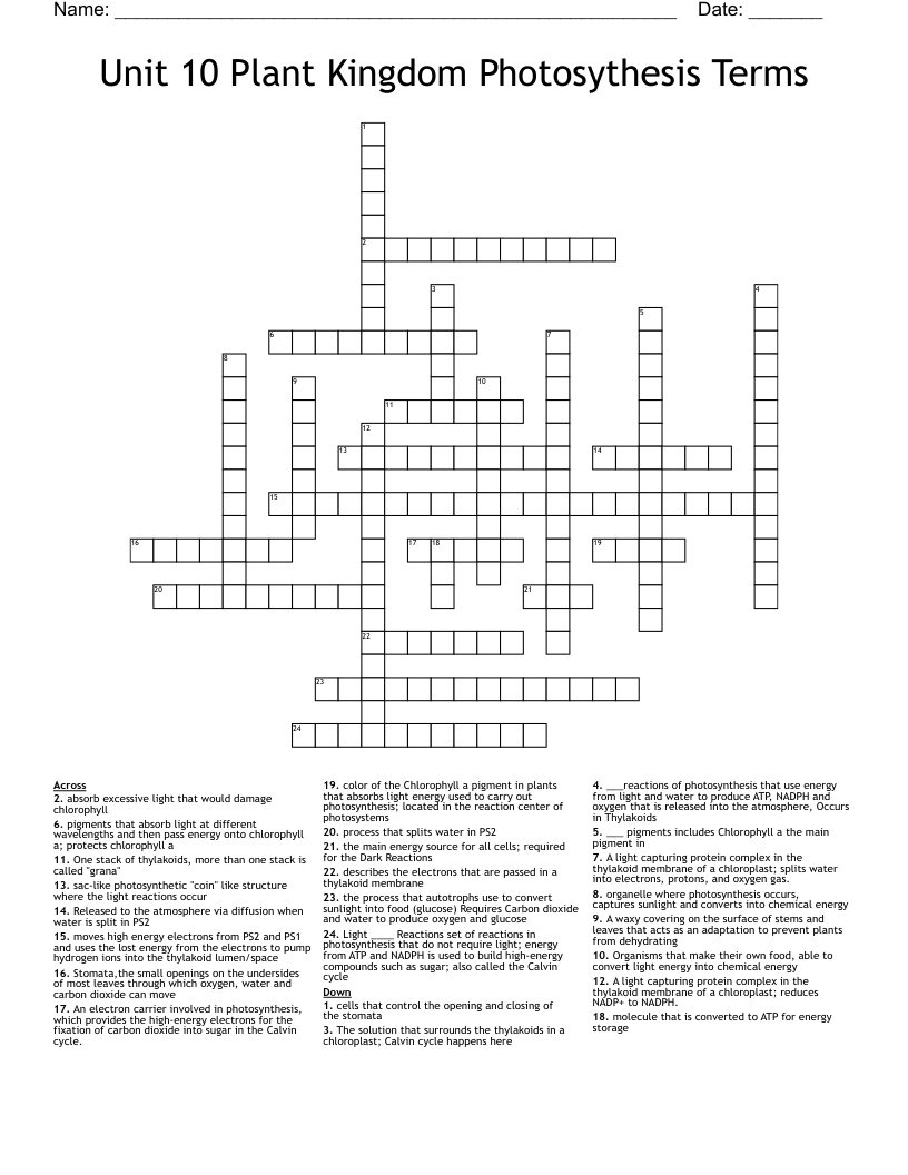Unit 10  Plant Kingdom Photosythesis Terms Crossword