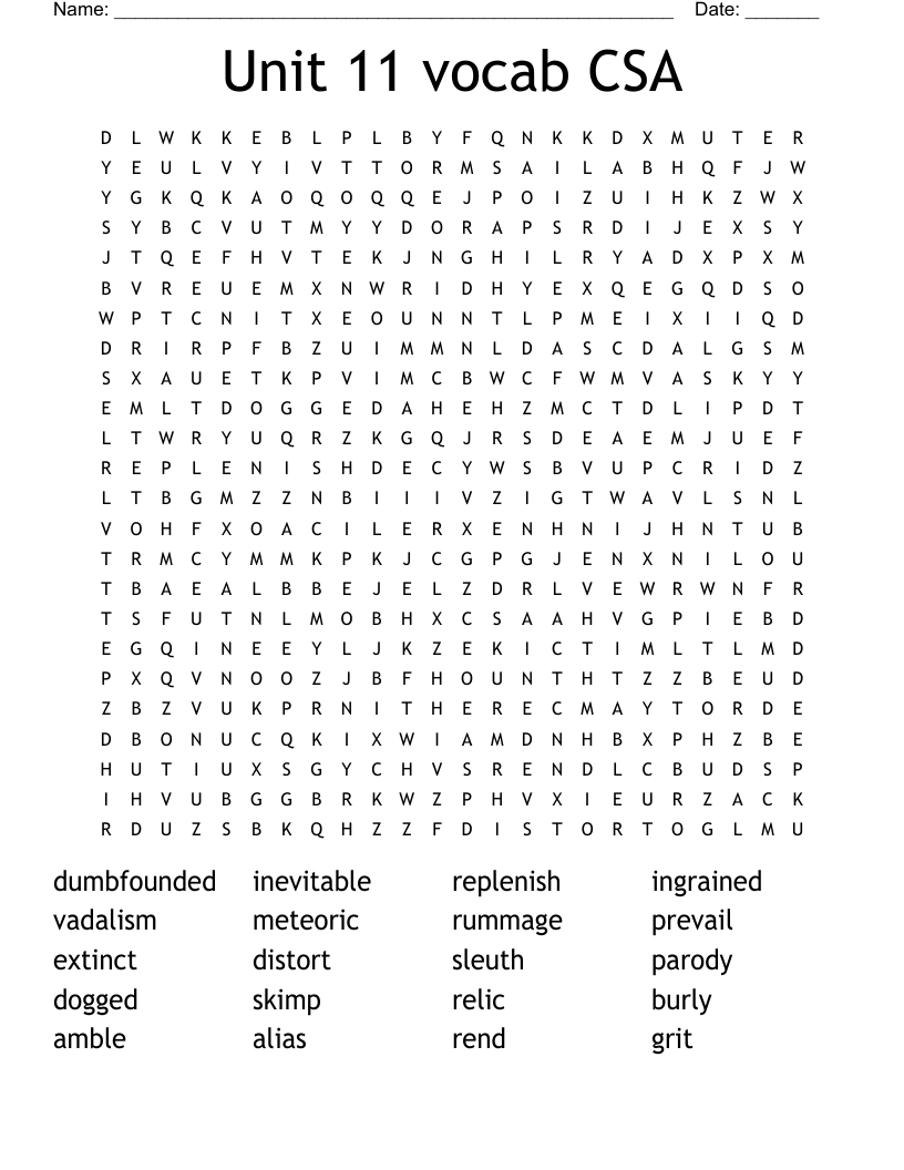 Unit 11 vocab CSA Word Search