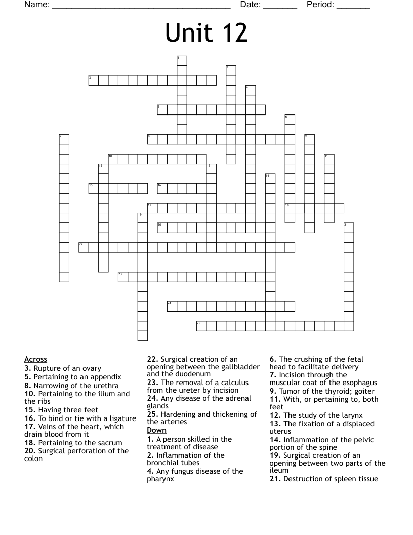 Unit 12 Crossword