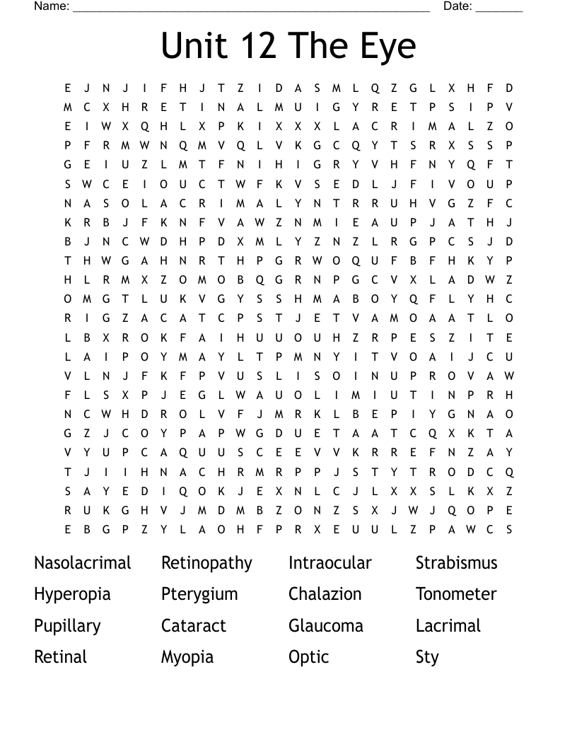 Unit 12 The Eye Word Search