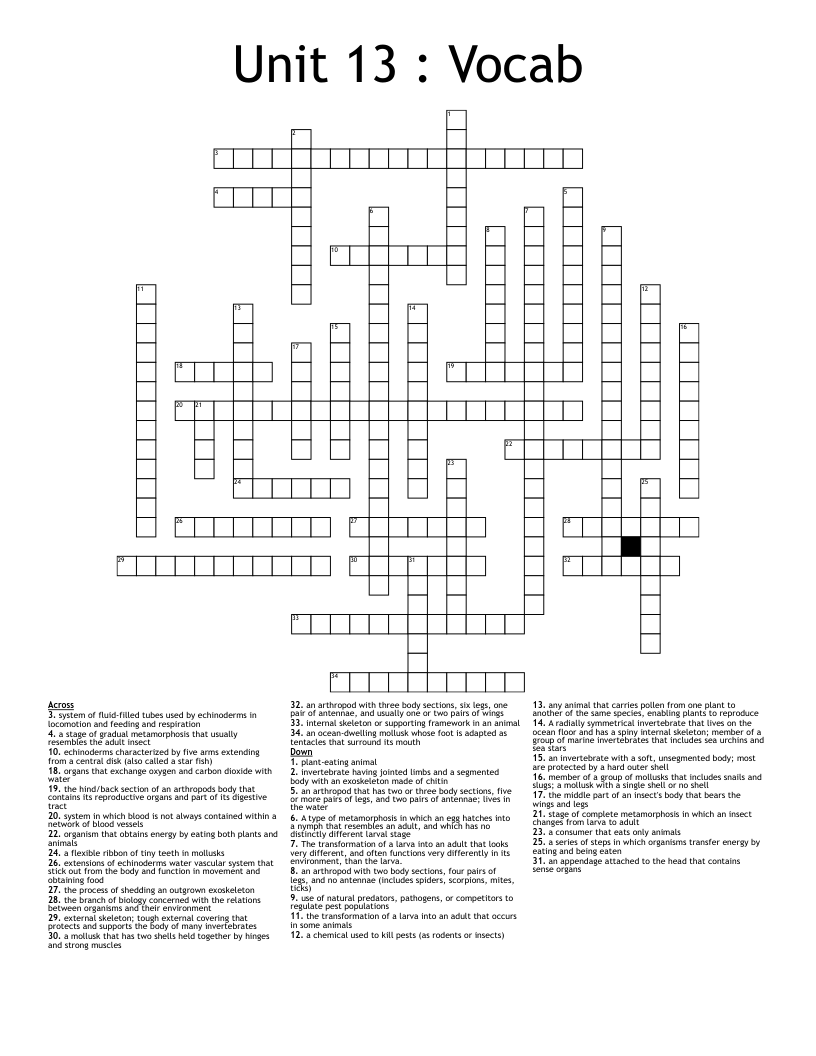 Unit 13 : Vocab Crossword