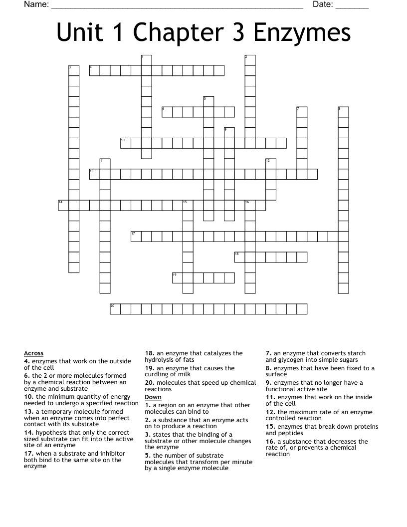 Unit 1 Chapter 3 Enzymes  Crossword