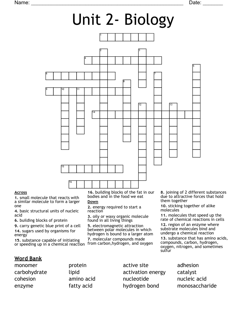 Unit 2- Biology Crossword