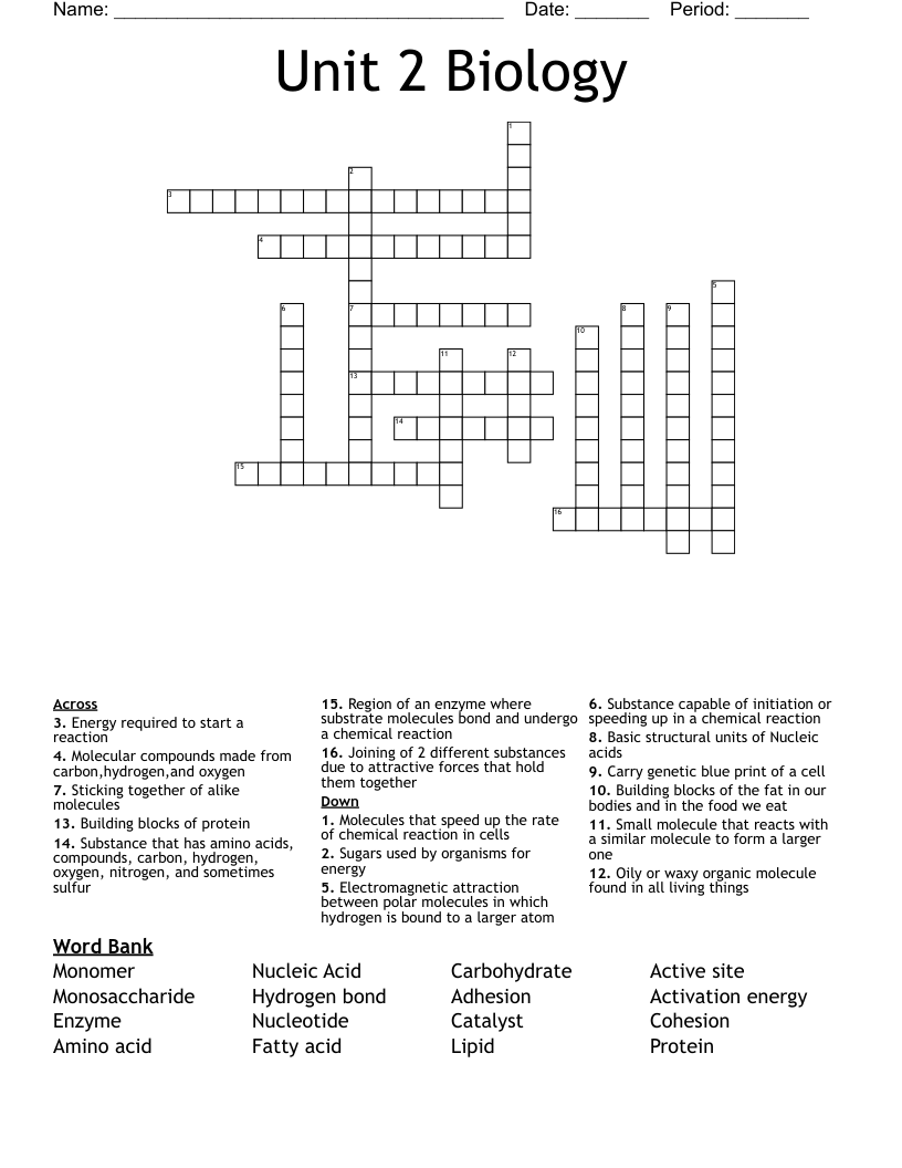 Unit 2 Biology Crossword