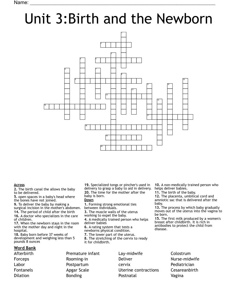 Unit 3:Birth and the Newborn Crossword