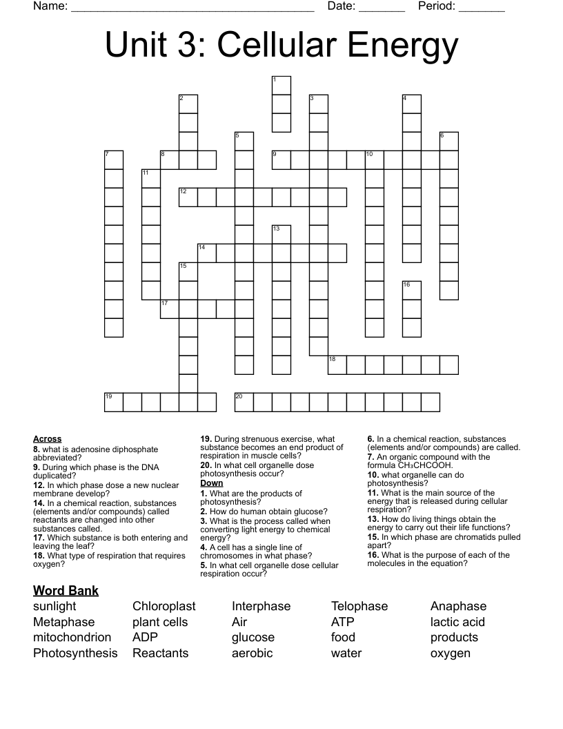 Unit 3: Cellular Energy  Crossword