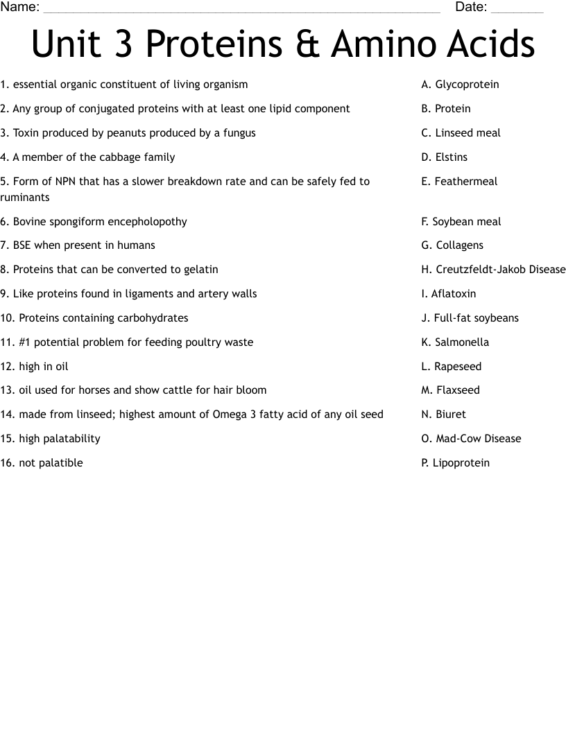Unit 3 Proteins & Amino Acids Worksheet