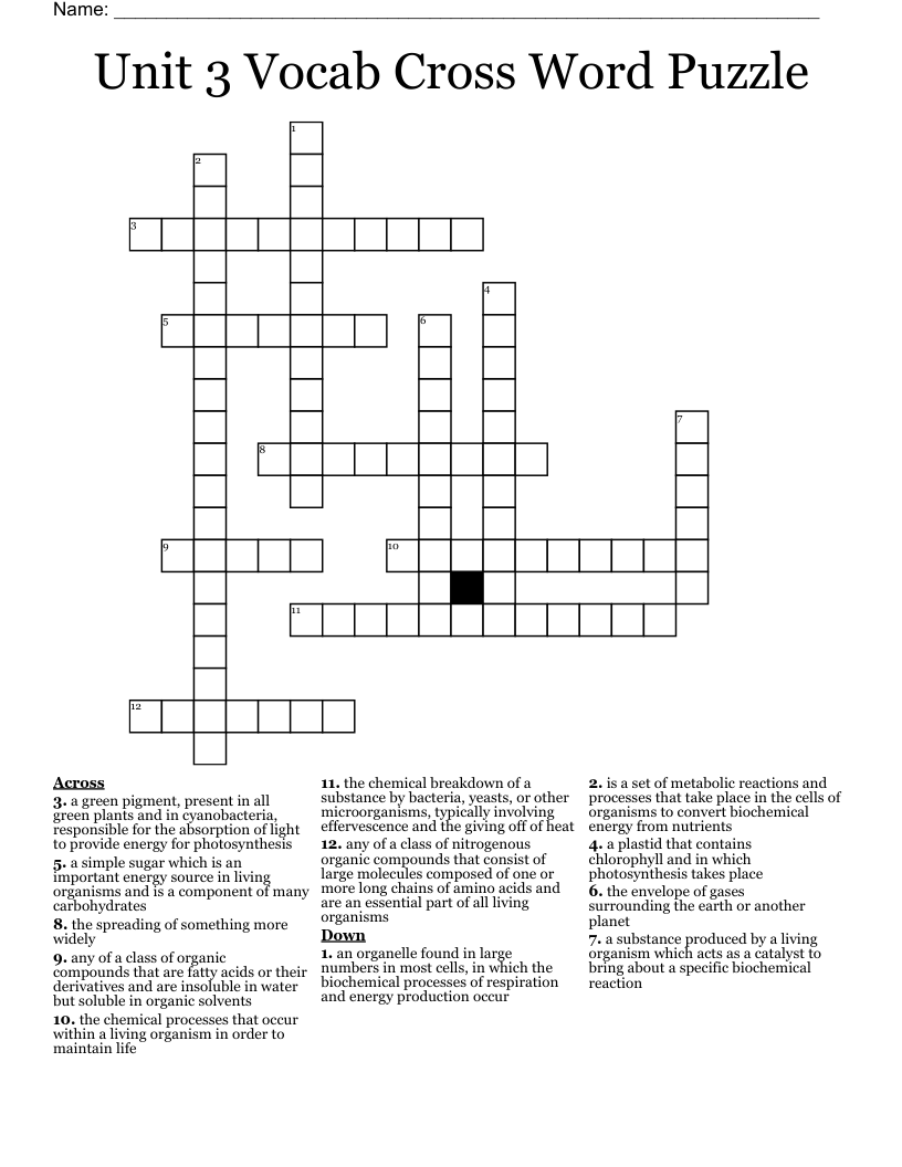 Unit 3 Vocab Cross Word Puzzle