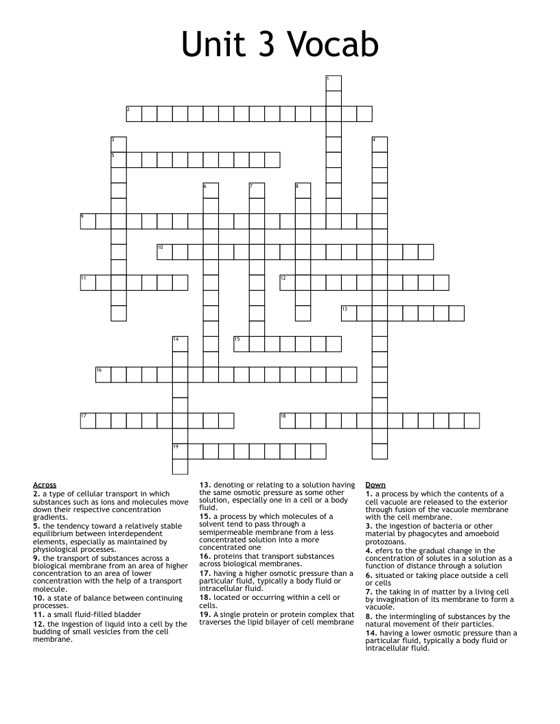 Unit 3 Vocab  Crossword