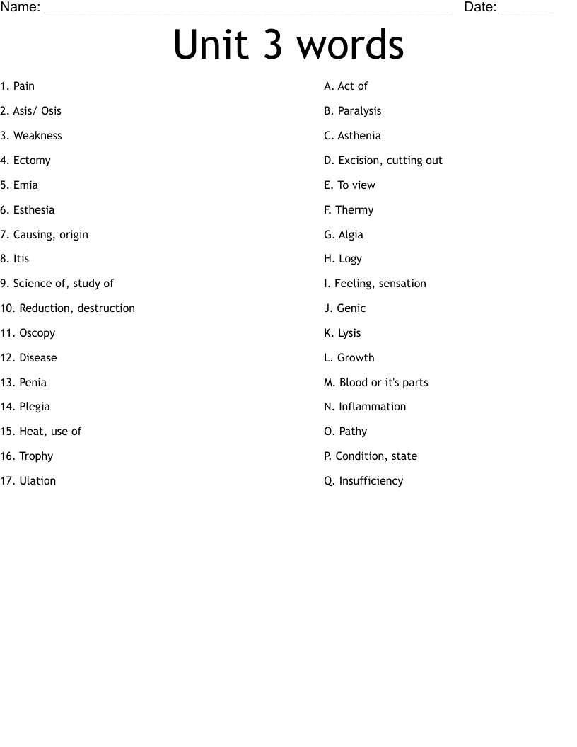 Unit 3 words Worksheet