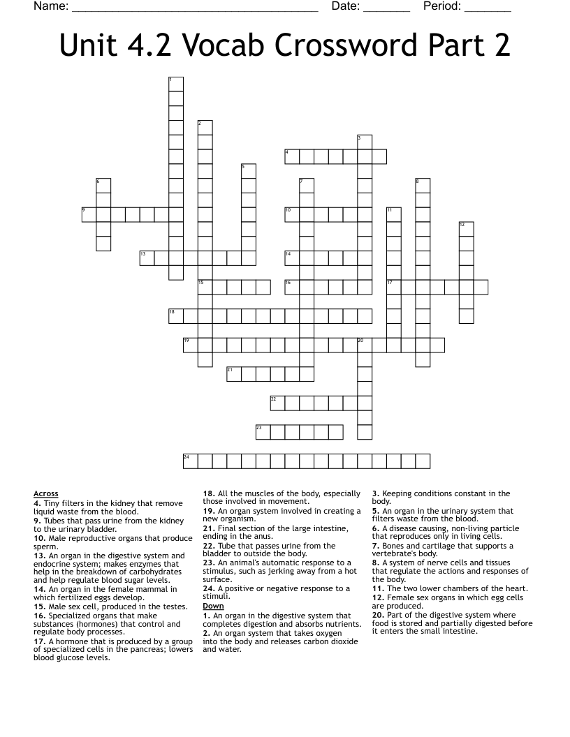 Unit 4.2 Vocab Crossword Part 2