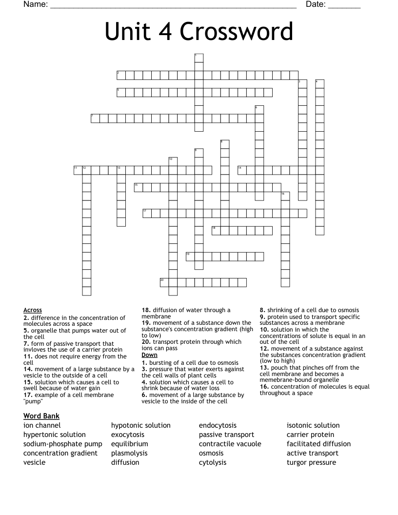 Unit 4 Crossword