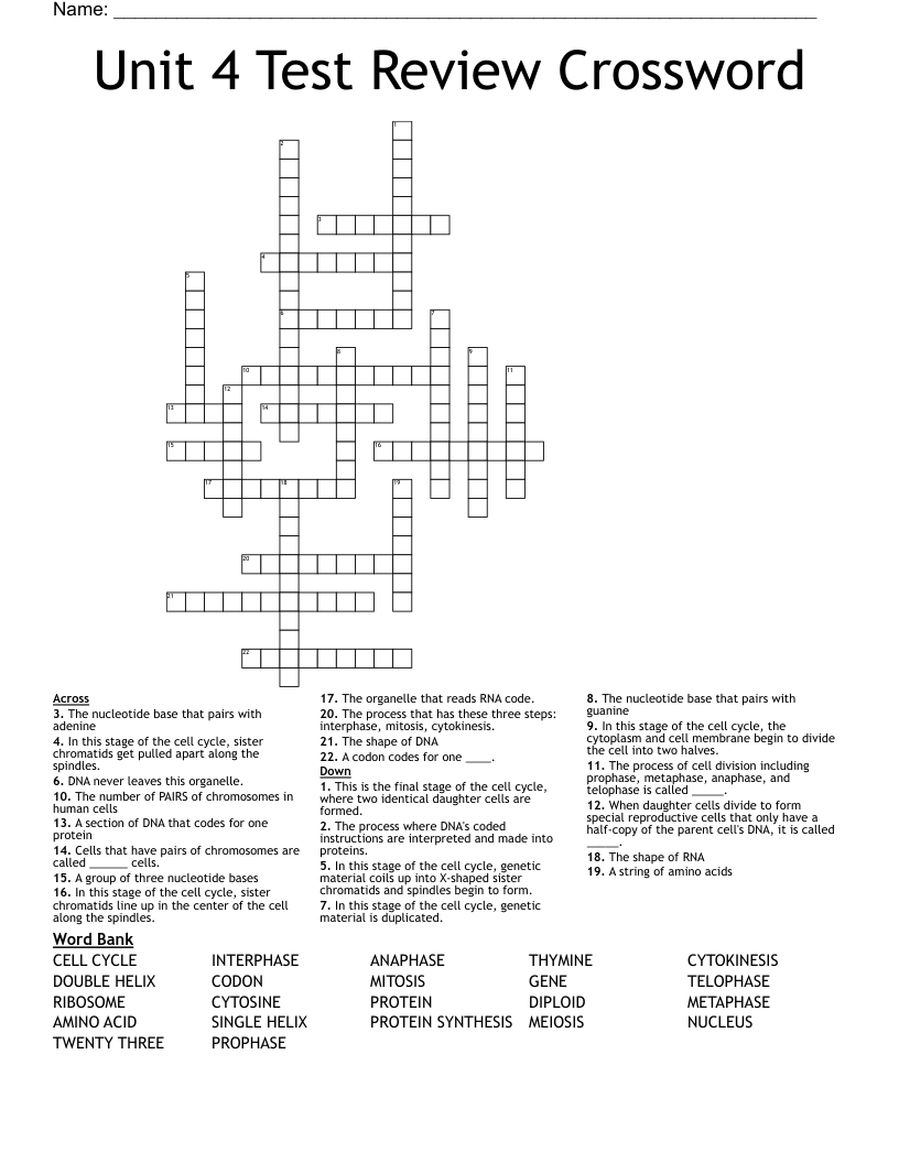 Unit 4 Test Review Crossword