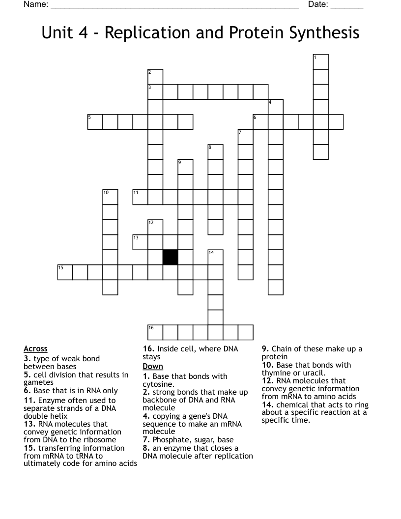 Unit 4 - Replication and Protein Synthesis Crossword