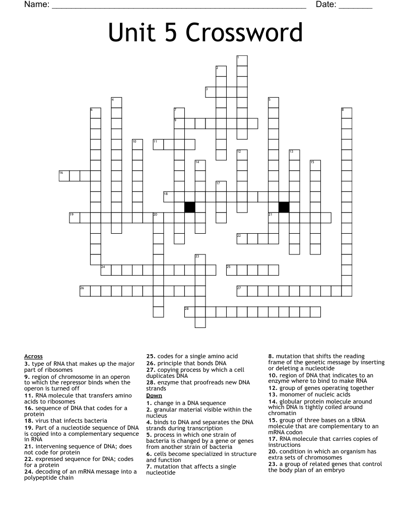 Unit 5 Crossword