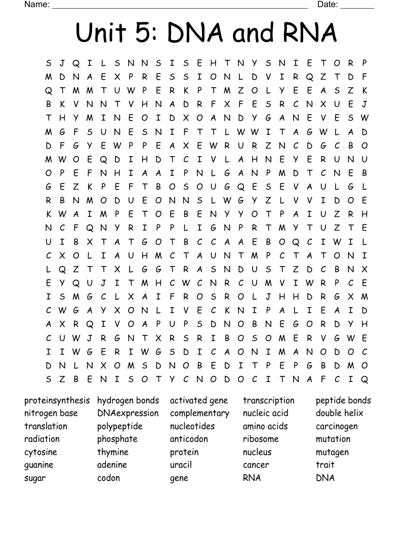 Unit 5: DNA and RNA Word Search