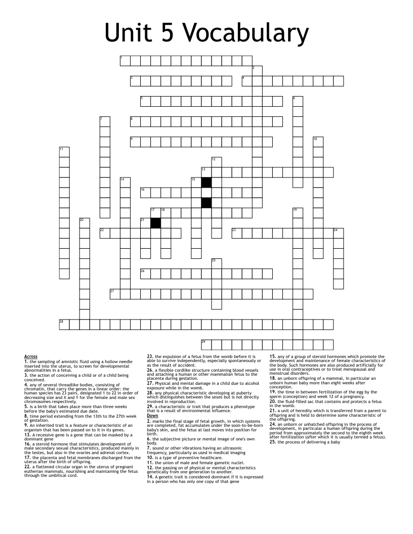 Unit 5 Vocabulary  Crossword