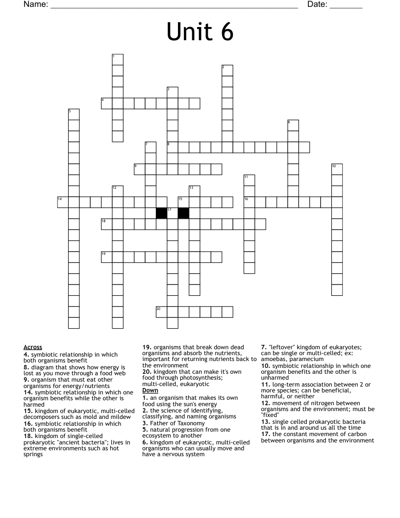 Unit 6 Crossword