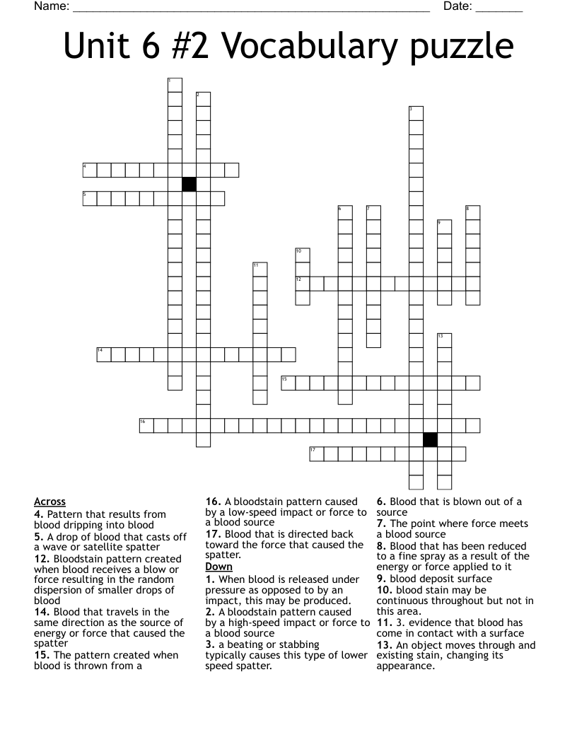 Unit 6 #2 Vocabulary puzzle Crossword