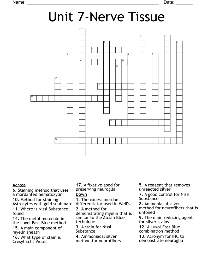 Unit 7-Nerve Tissue Crossword