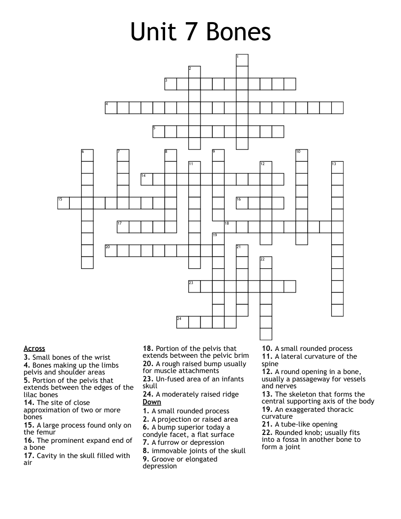 Unit 7 Bones Crossword