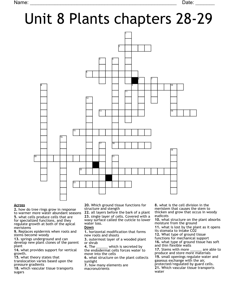 Unit 8 Plants chapters 28-29 Crossword