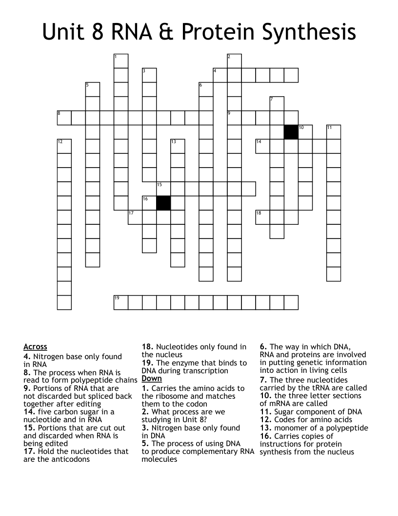 Unit 8 RNA & Protein Synthesis Crossword