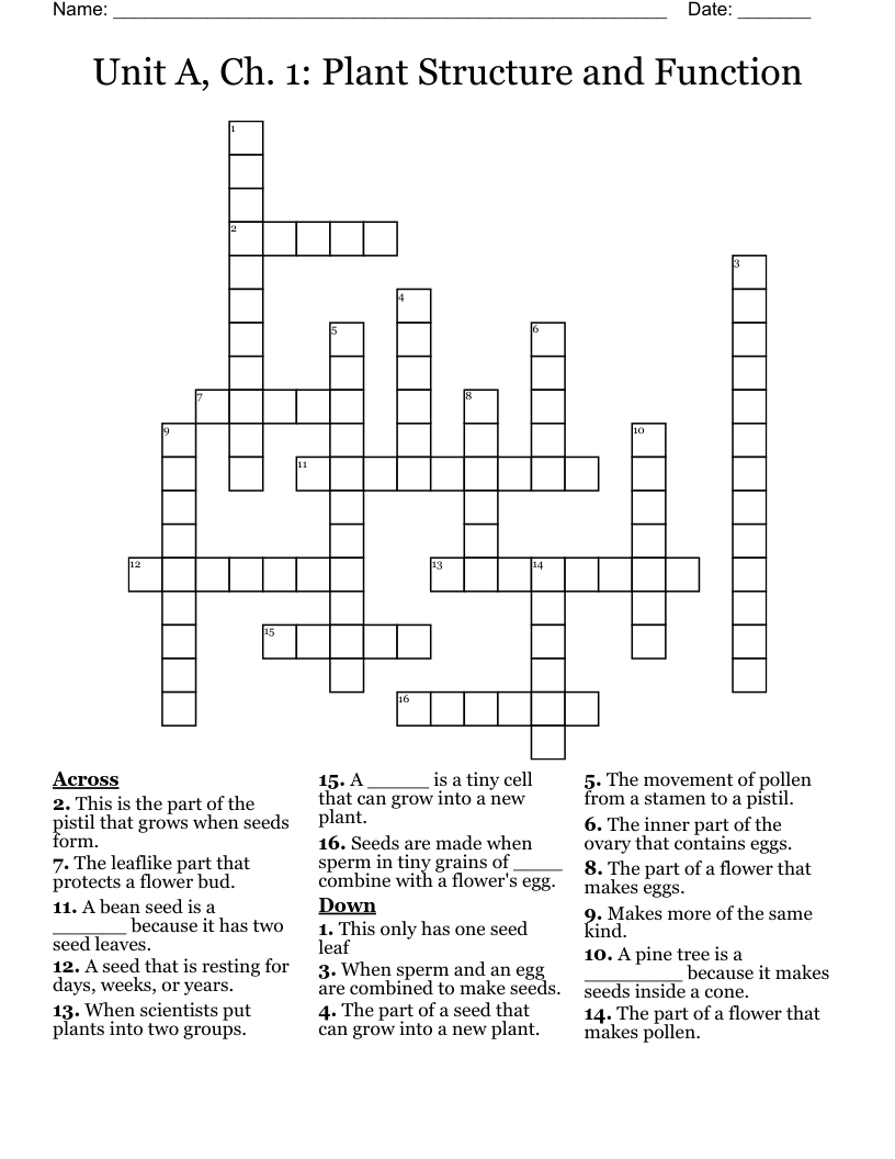 Unit A, Ch. 1: Plant Structure and Function Crossword
