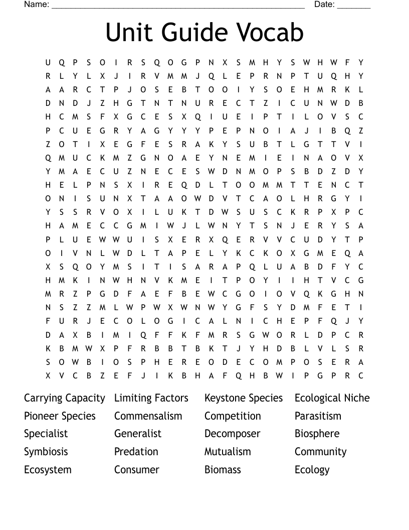 Unit Guide Vocab  Word Search