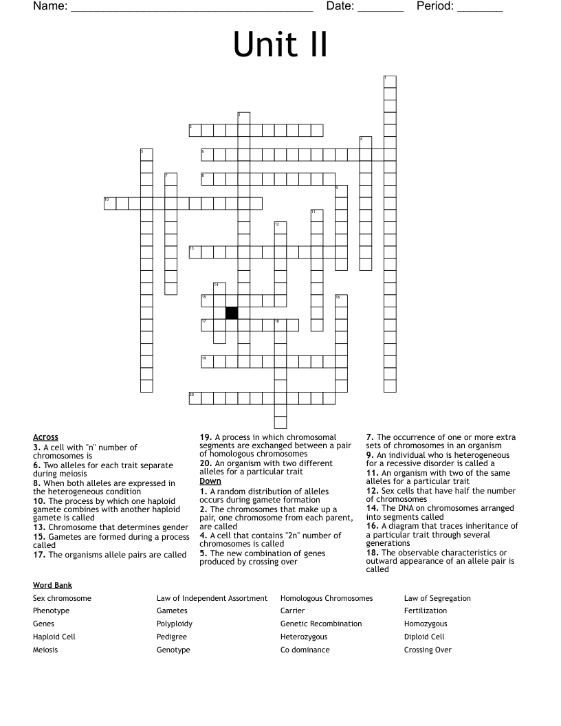 Unit II  Crossword