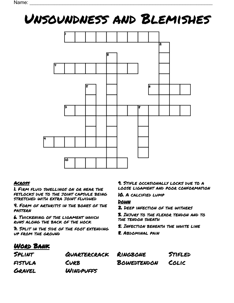 Unsoundness and Blemishes Crossword