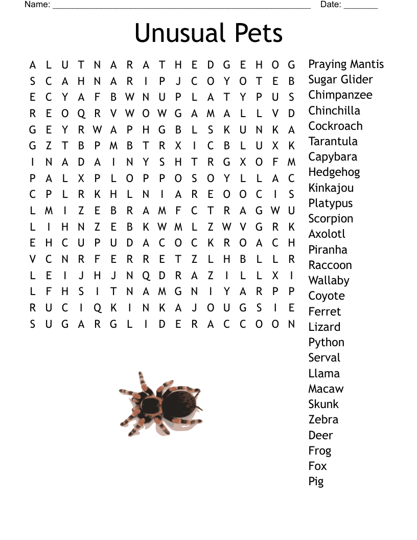 Unusual Pets Word Search