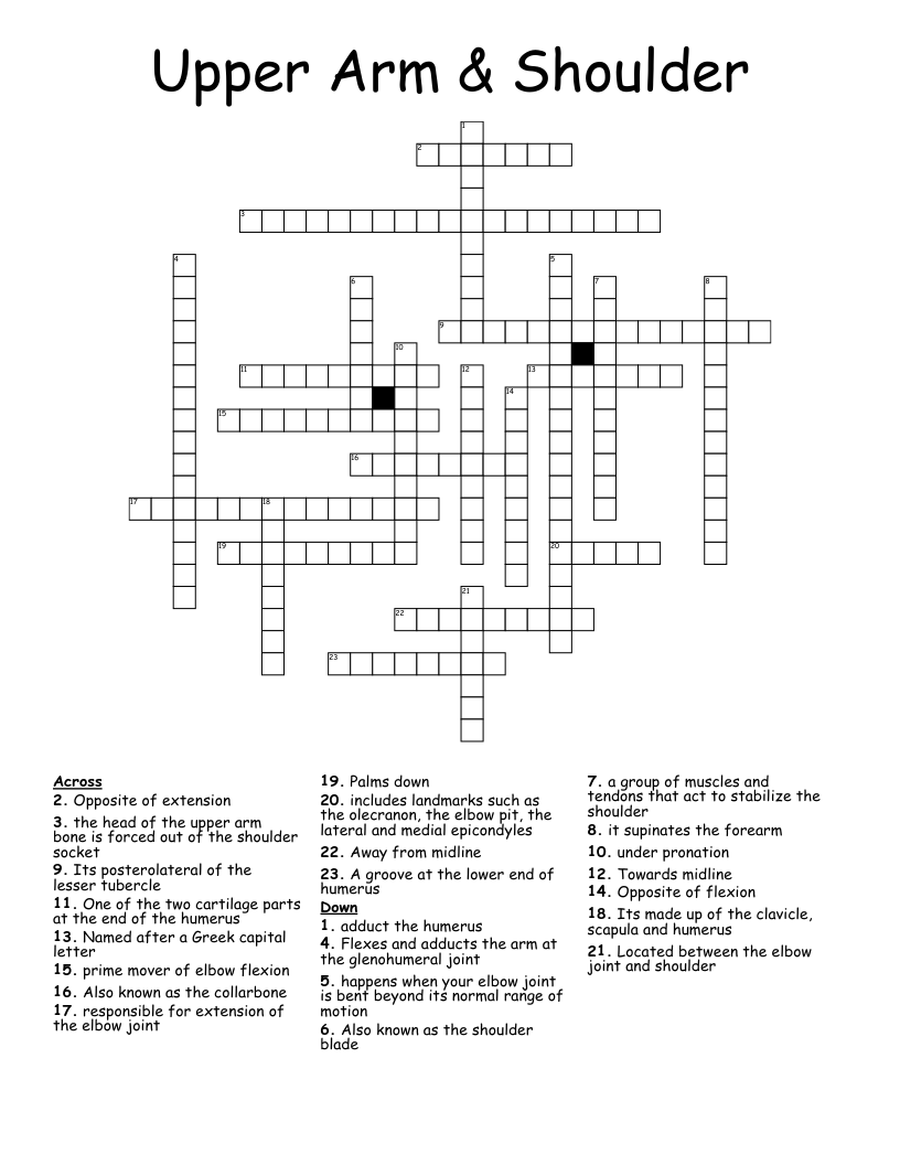 Upper Arm & Shoulder Crossword
