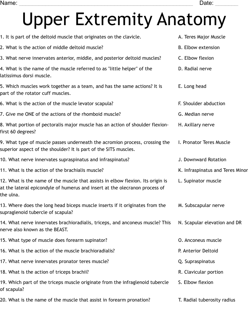 Upper Extremity Anatomy Worksheet