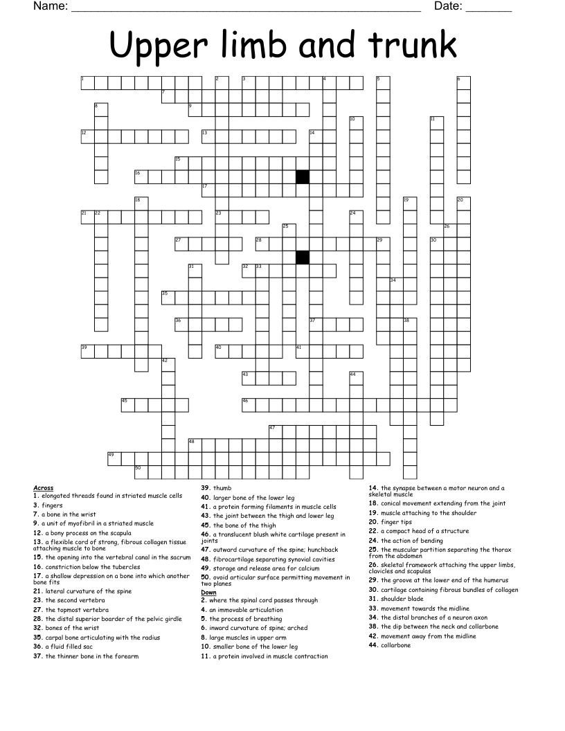 Upper limb and trunk Crossword