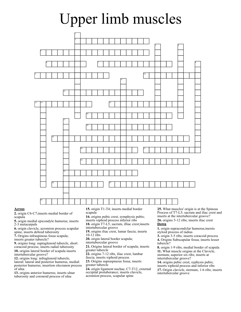 Upper limb muscles Crossword
