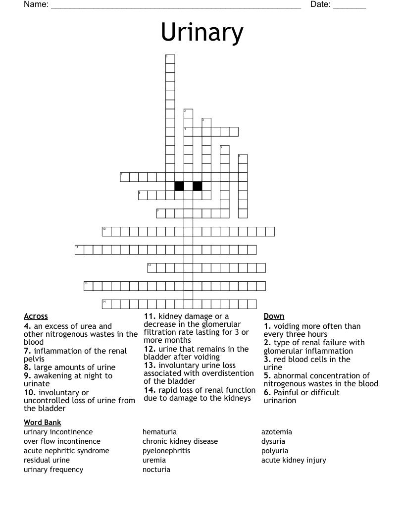 Urinary Crossword