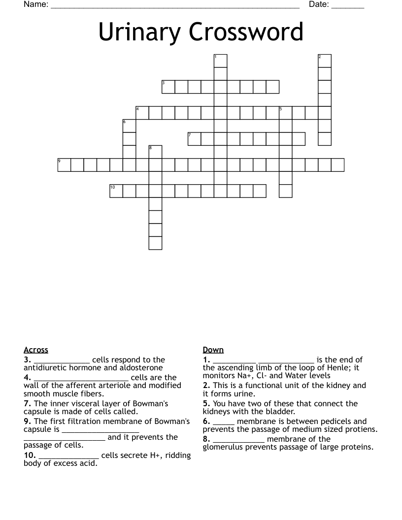 Urinary Crossword