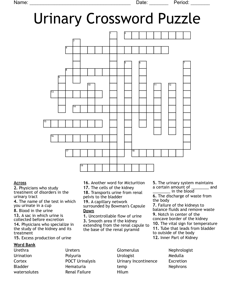Urinary Crossword Puzzle