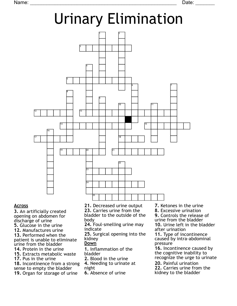 Urinary Elimination Crossword