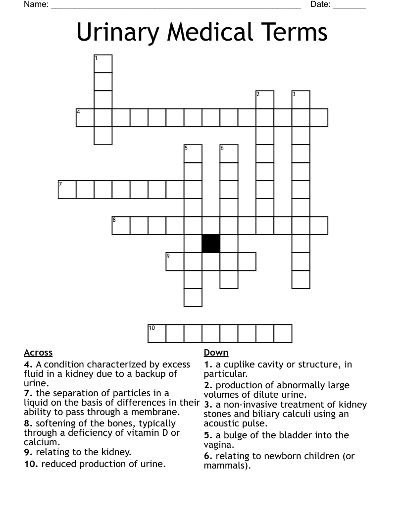 Urinary Medical Terms Crossword