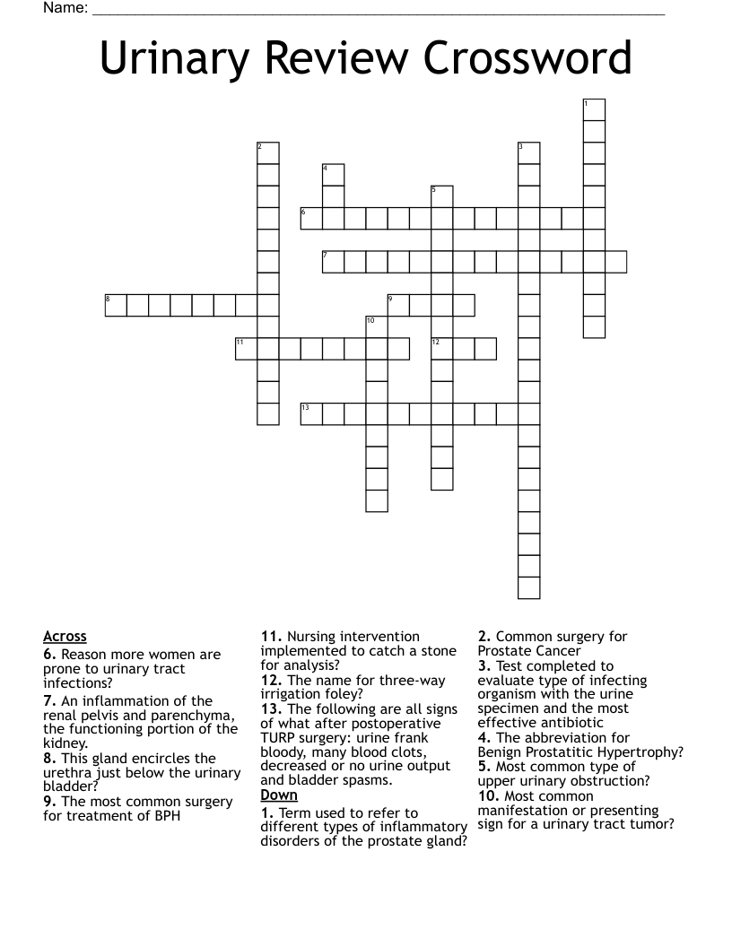 Urinary Review Crossword